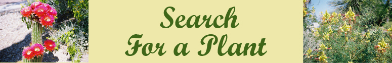 The Garden&rsquo; s Search for a Plant