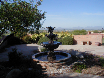 First Landscape Design Job