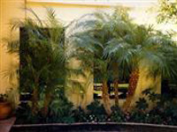 Tropical Theme