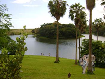Lake_Tiger
