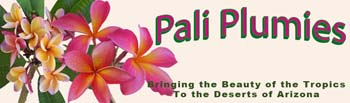 PaliPlumiesCartLogo