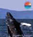 summers_j_composite4