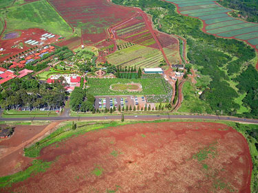 Aerial View of Dole Plantation and the Pineapple Maze - Wahiawa, Oahu, HI